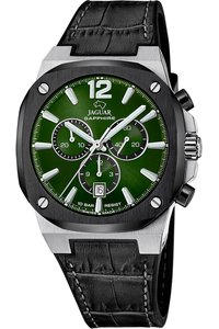 Picture: JAGUAR J1026/5