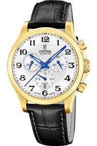 Picture: FESTINA 20099/1S