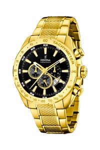 Picture: FESTINA 16878/4