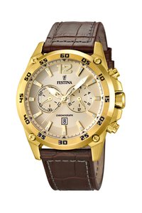 Picture: FESTINA 16880/1