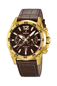 Picture: FESTINA 16880/2