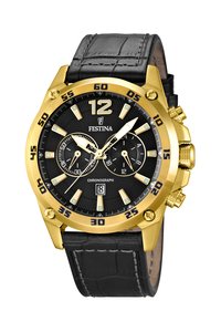 Picture: FESTINA 16880/3