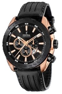 Picture: FESTINA 16900/1