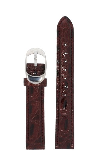 Photo: Řemínek FESTINA F16025/40-BC03237