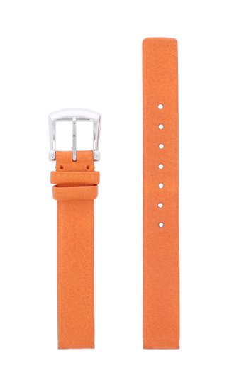 Photo: Řemínek FESTINA F16229/40-BC05094