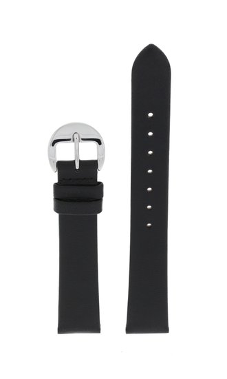 Photo: Řemínek FESTINA F16661/40-BC08256