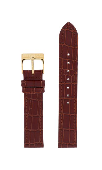 Photo: Řemínek FESTINA F16479/40-BC06953
